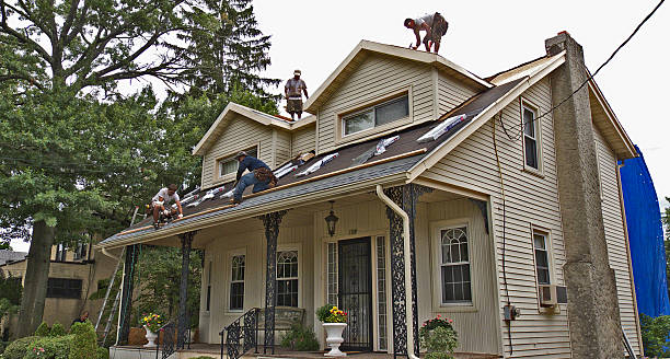 Best Roof Gutter Cleaning  in Winfield, KS